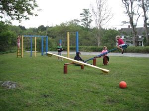 Five children are seen enjoying playground equipment on a grassy area.